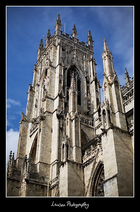 York003