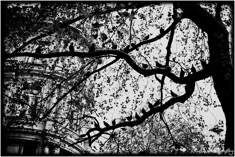 Laura_Photo_Challenge008