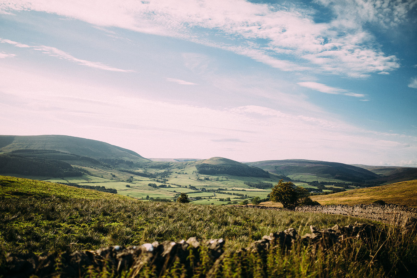 Best-2014-Lawson-Wedding-Photography0036