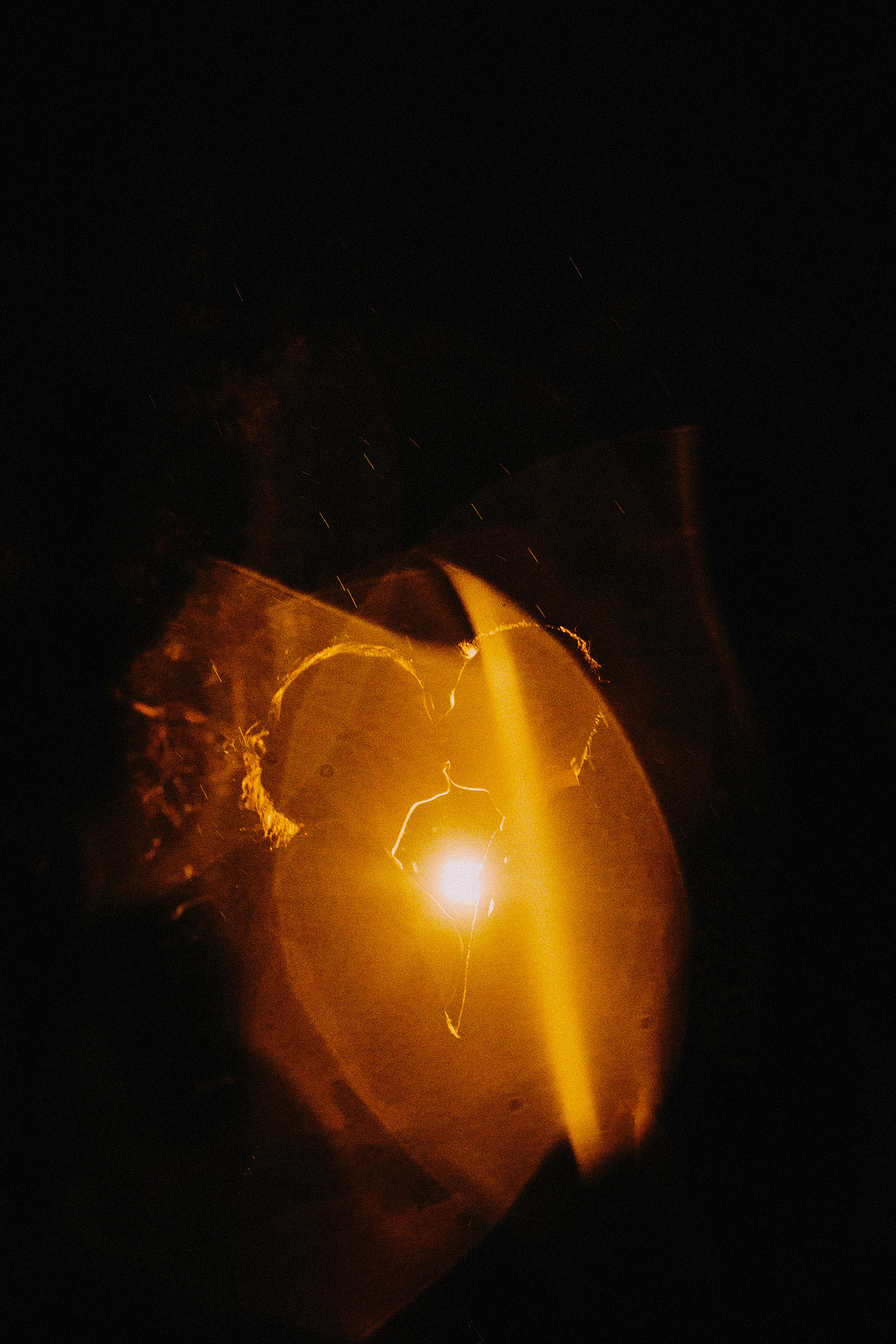 Best-2014-Lawson-Wedding-Photography0145