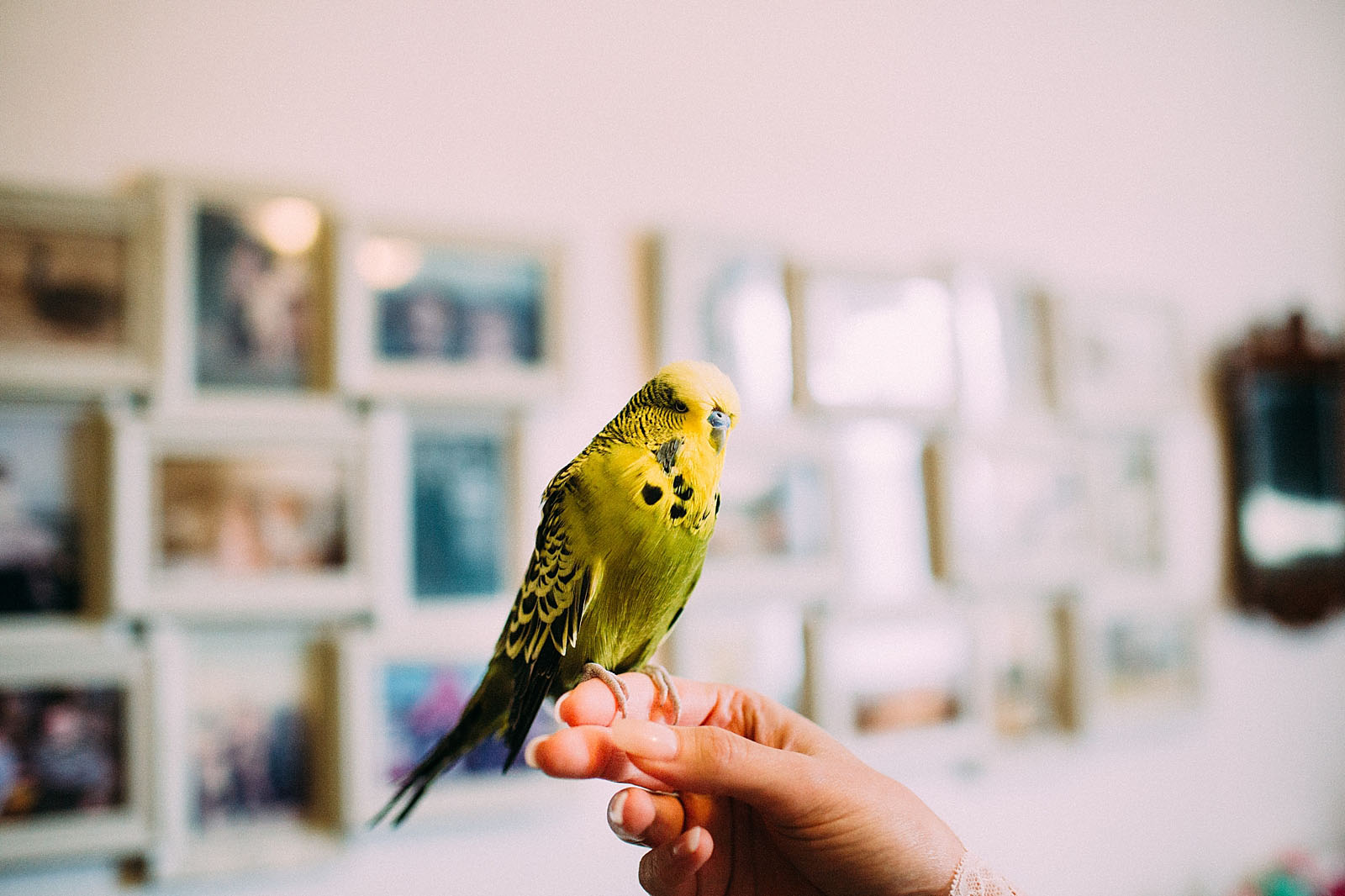 Lawson_Best_Wedding_2015_218